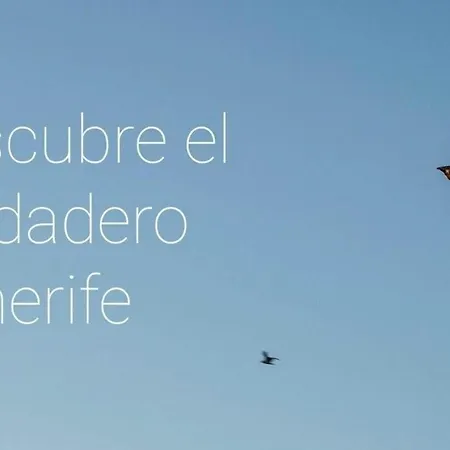 Prime Homes Luxury Muelle Apartamento *